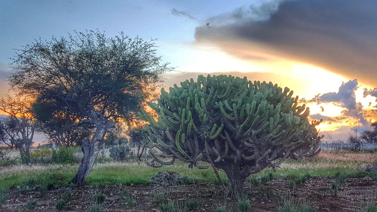 מלון Atotonilco  El Macehual מראה חיצוני תמונה